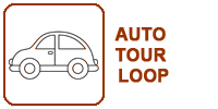 Auto Tour Loop button